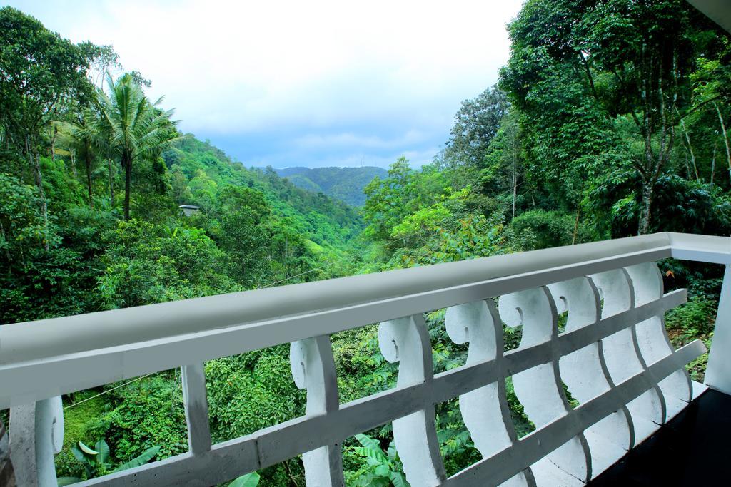 Spring And Valley View Thekkady Quarto foto